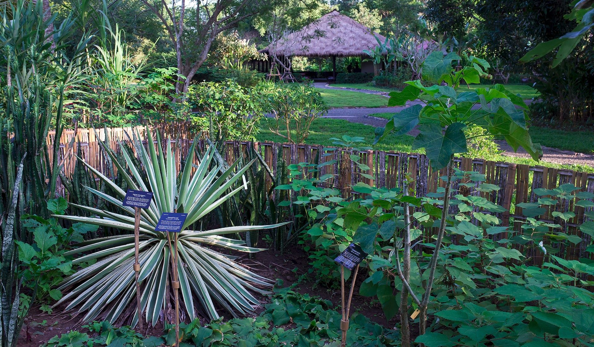 Pha Tad Ke Botanical Garden | The First Botanical Garden In Laos